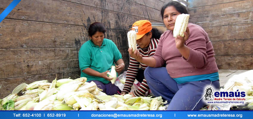 Donación de choclos para familias en Villa El Salvador 2014
