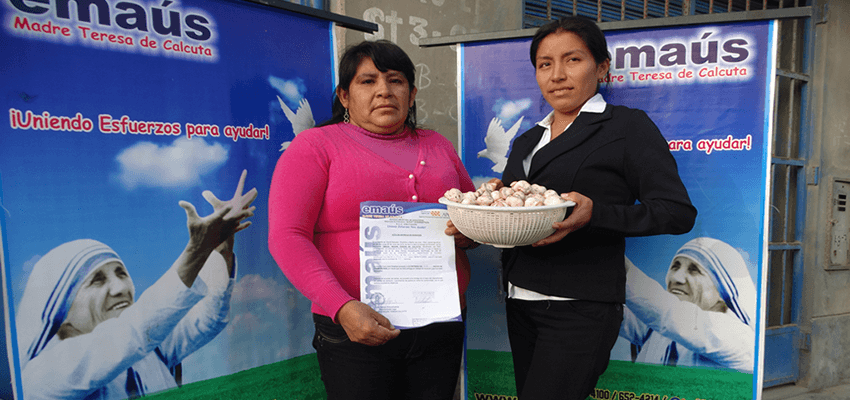 Donación de champiñones