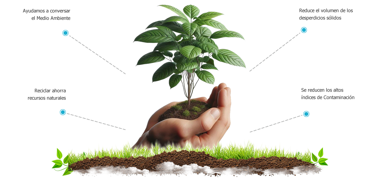 Beneficios de Reciclar