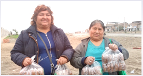 Emaús Madre Teresa de Calcuta