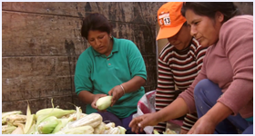 Emaús Madre Teresa de Calcuta